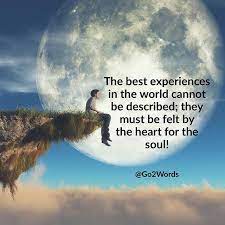 Happiness Quotes Lovely Quote Happy Quotes Tips To Be Happy Browse the use examples 'it's happy line' in the great english corpus. happiness quotes lovely quote happy