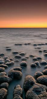 The beginning or rise of anything; Seeing The Dawn Science