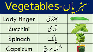 Pin On English To Urdu Vocabulary