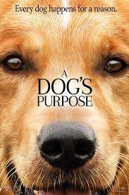 Founded in 1999 and authorized in all 50 states, bright & beautiful has certified more than 14,000 members and dogs. A Dog S Purpose 2017 Imdb
