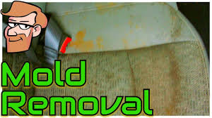 Moist serves as a feeding ground for mold. How To Remove Mold Mildew From Car Seats Cars Simplified Youtube