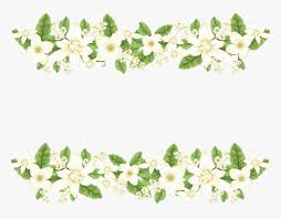 Transparent Jasmine Flower Png Transparent Jasmine Flowers Png Png Download Kindpng Want to discover art related to clipart? transparent jasmine flower png