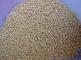 5 safest fertilizers for succulents/organic fertilizes reviews. Making Your Own Cactus Soil On Line Guide To The Positive Identification Of Members Of The Cactus Family