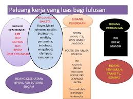 Pulo brayan (0.86 km km) jl. Profil Alumni Departemen Biologi