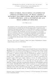 Image result for Phyllanthus pseudocarunculatus