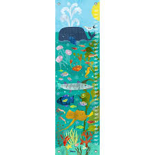 oopsy daisy growth chart ocean swimmers 12x42 by amy