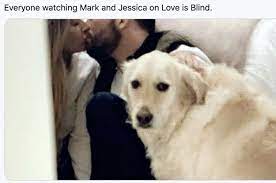 24 More Tweets About Love Is Blind Because I Can T Get Enough Of That Show Funny Love Nursing Fun Funny