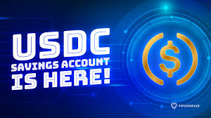 If you believe in gold but the traditional services are not flexible enough for you, then select the paxg token from paxos and earn a high yield on inlock savings account!. Youhodler Announces Usdc Savings Accounts Earn Interest On Crypto
