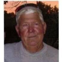 William Leonard Williamson, Jr Obituary