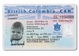 2 i hearing aids 3 xq no fwy driving 4 h grip/power steering wheel 5 g directional signals. Drivers Licence And Serviges Card British Columbia Ca N Griner Sammy Dl1234568 Dob 2006 Aug 03 Issued 2018 Mar 14 Expires 2023 Aug 03 Restrictions Endorsements 21 Class 5 British Wt 580 Kg Ht 176 Cm Columbia Sex