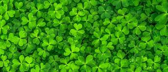More fun ideas for st. St Patrick S Day 2020 Events Orem Ut Brent Brown Toyota