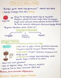 Kpss Cografya Ekonomik Cografya Cografya Ders Calisma Ipuclari