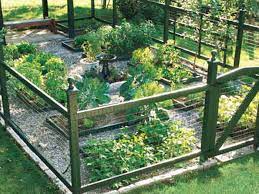 Grow A Healthy Vegetable Garden This Old House