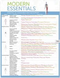 Modern Essentials Essential Oil System And Function Support Reference Chart Singular