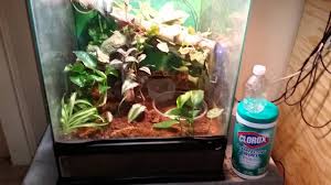 Humidity in their native range is between 55% to 70%, but it can spike to over 80% in the morning. Keeping High Humidity In Screen Top Enclosures Youtube