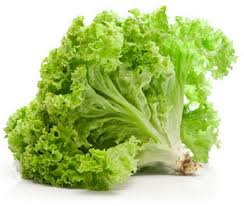 Tiap jenis lettuce memiliki ciri tersendiri seperti head lettuce yang memiliki bentuk seperti kepala, leaf lettuce dengan bentuk daun yang mencolok, salah satu jenisnya adalah selada lokal yang terkenal di pasar dengan pemberian nama selada mungkin karena sayuran ini biasa disajikan sebagai salad. 10 Jenis Selada Yang Paling Sering Digunakan Tapi Jarang Orang Tahu