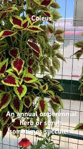 Image result for Equilabium