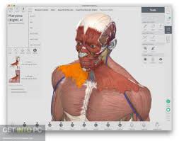 The app features colourful and very detailed graphics that allow users to see how the human body is comprised and remove the skin, bones and other elements so. Download Complete Anatomy 2018 For Mac Get Into Pc