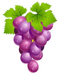 Gallery Recent Updates Fruit Art Clip Art Fruits Drawing