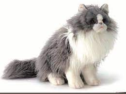 Pin On Amazing Plush Animals