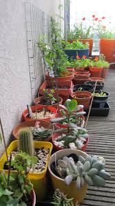 Choose plants and flowers to suit your balcony. Lovin My Balcony Garden Design Lovin