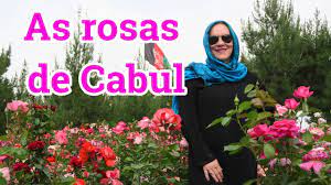 Atentado em cabul, capital do afeganistão, deixa 18 mortos e 57 feridos. Cabul A Capital Do Afeganistao English Subtitles Youtube