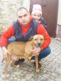 Check spelling or type a new query. Apbt Online Database Official Login Page 100 Verified