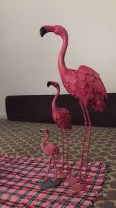 pin by روابى المطيرى on صور flamingo animals