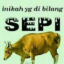  Pelesetan Masih Laku Lucu Semuanya Lucu Gambar Lucu