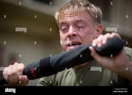 Tenn native hi-res stock photography and images