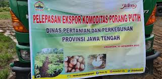 Kendi amerta dengan bentuk dasar segi 5, terletak di tengah melambangkan. Indonesia S Konjac Prices Offers Suppliers News And More Market Information Tridge