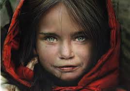 Sonya, you do the most beautiful pet portraits! When I'm finished with my  nuts and bolts WIP, I'm having a go at fur but don't think it'll end up  being posted here