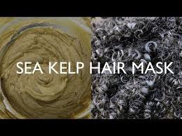 Whether or not it actually boosts growth, it contains nutrients involved in hair health and. Sea Kelp Hair Mask For Extreme Hair Growth Youtube Extreme Hair Growth Extreme Hair Hair Mask