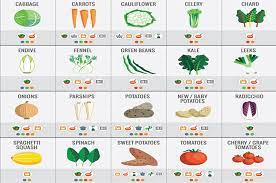 21 Cooking Charts That'll Make Any Foodie Say "Excuse Me, What?!"