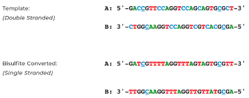 How To Design Primers | Zymo Research
