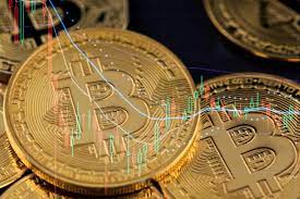 Offering the best in landline, internet and mobile services. Bitcoin Btc Langzeit Investoren Hodln Spekulanten Verkaufen