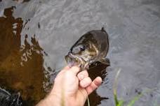 Durand Youth Fishing Contest
