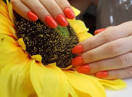 nail salons ipswich get up to 70 off