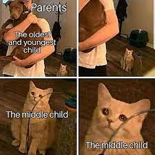 Middle Child Syndrome Is A Real Thing Dankmemes