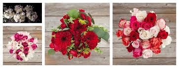 Maybe you would like to learn more about one of these? The 8 Best Options For Flower Delivery In Jacksonville Florida 2021