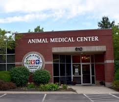 Internal medicine • 3 providers. Animal Health Clinic Picshealth
