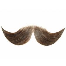 Real hair beards, fake hair beards, the right beards for any transformation: Hercule Poirot Moustache Fake Hercule Moustache Online