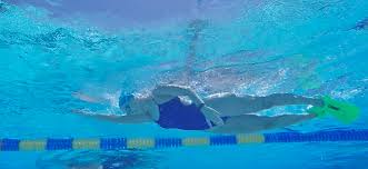 Check spelling or type a new query. 3 Swim Workouts For Beginners Myswimpro