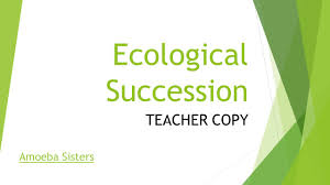 Ecological Succession Ppt Video Online Download