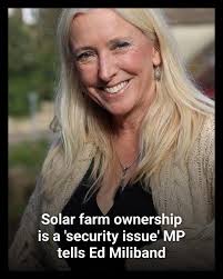 The deer were filmed in the water at Tresillian and then at Malpas in  Truro, leaving onlookers in awe at the rare sight