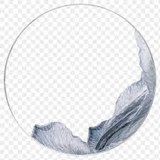 Download Free Png Of Png Gray Petals Round Frame By Sasi About Circle Winter Dried Flowers In In 2021 Instagram Frame Template Christmas Card Images Design Elements
