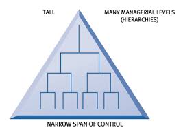 Organisational Structure