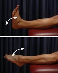 Morton S Neuroma Causes Symptoms Treatment Exercises