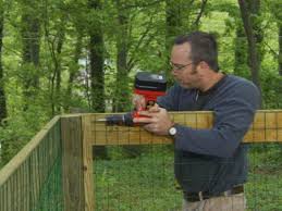 There are many different things that can harm large trees that provide shade can give your dog a good place to rest. How To Construct A Shaded Dog Run How Tos Diy