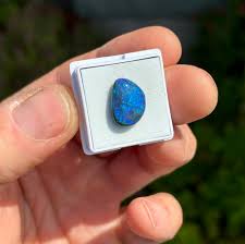 Image result for Black Opal 2011 HS